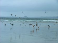 Take Off on Newgale Beach by Gareth
