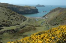 Gwadn, nr. Solva by Peter