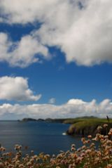 Caerfai View by Leanne