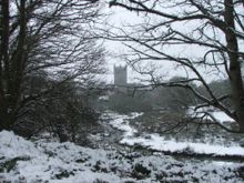 Down the Valley, St Davids by Jayne