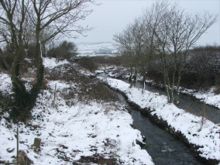 Rhodiad y Brenin by Jayne