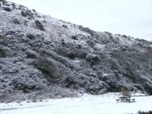 Snowy Gribin, Solva by Jayne