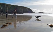 Carefree on Caerfai by Josh