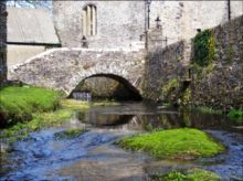 'Wet Feet' St Davids Cathedral by Anne