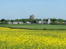 Roch Castle in bloom by Colin