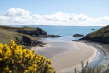 Solva at low tide&nbsp;by Josh