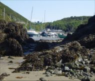 Solva Harbour by Bryony