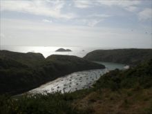 Solva Boats by Donna