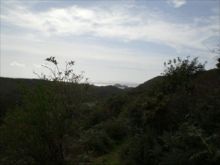 Solva Hills by Donna