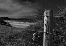 Whitesands by Leanne