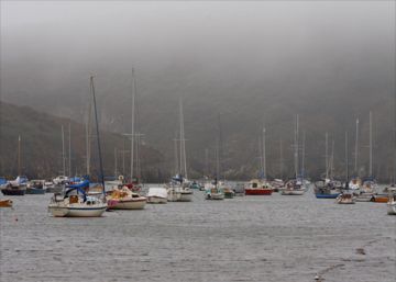 Mist at Solva by Marian, Shropshire