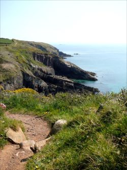 Coast path near Caerbwdi by Deborah
