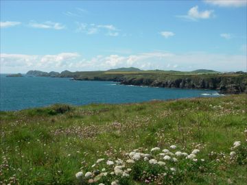 A Summers Day walk near Solva by Ian from St Davids
