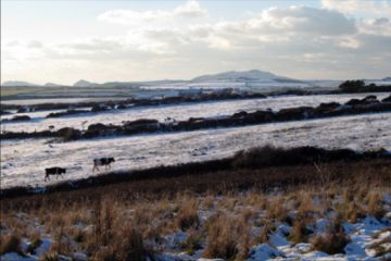 Snowy fields near St Nons by Lucy, Bermuda / Cheltenham