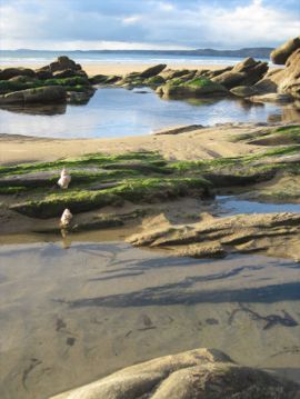Newgale Reflections by Dawn, Porthgain 