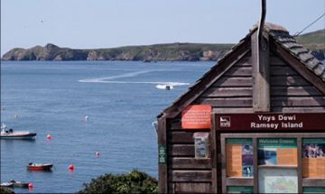 Boats to Ramsey Island by David