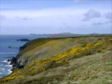 Coast near Nine Wells by Ian