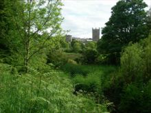 St Davids Cathedral by Ian