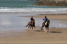 Autumn Gallop at Whitesands by Marian