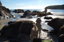 Autumn afternoon at Caerfai Bay by Jill