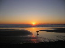 Dusk at Newgale Beach by R F Holt