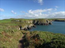 Coastal Path, Porth Henllys by Bill