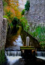 Weir by Cathedral by Nigel