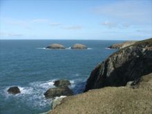 Cerrig Gwylan  nr. Abereiddy by Colin