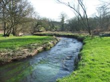 Solva River at Middle Mill by Jayne