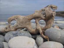 Driftwood at Aber Mawr nr. Mathry by Shirley