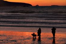 Watching them watching the sunset at Whitesands by Les