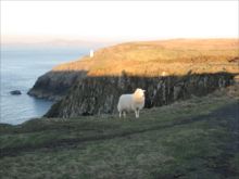 Porth Dwfn nr. Porthgain by Toby