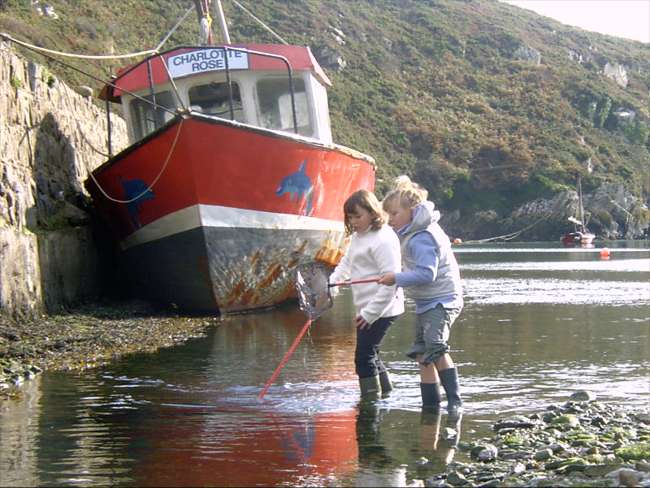 Winning Photograph Spring 2007 - Activity at Porth Clais Harbour