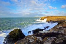Winning entry - Spring 09 category - Congratulations to Tom Roberts