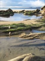 Winning entry - Spring 11 category